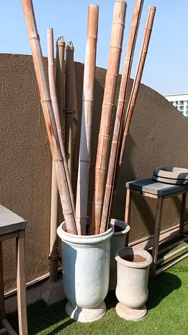 Tall Decorative Bamboo Sticks - Set for Outdoor/Patio
