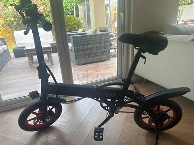 electrical bicycle