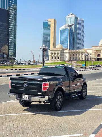 2014 FORD F-150 照片 2