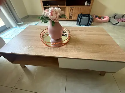 Modern wooden coffee table with storage - light oak finish