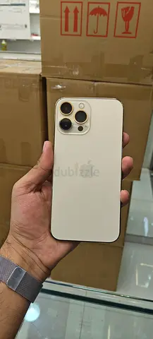 iphone 13 pro maxx 256