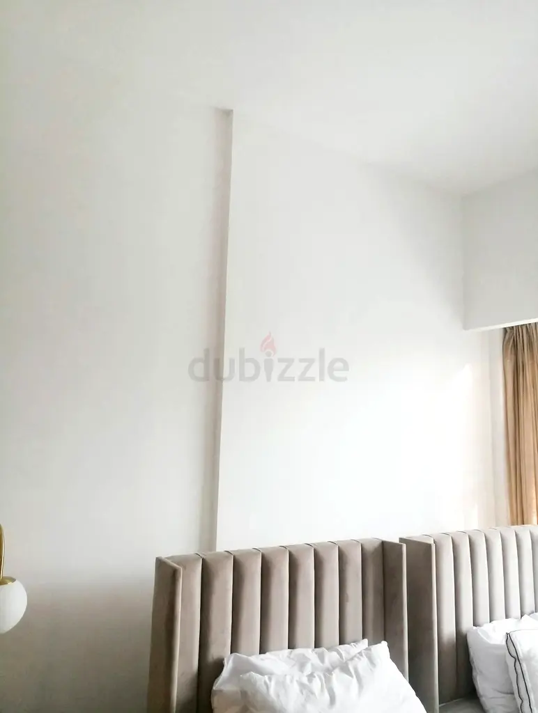 DPV_View_Image_1