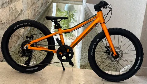 Scott Roxter 20 Inch Kids Mountain Bike