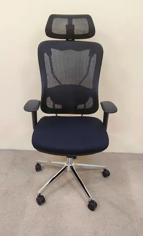 Ergonomic Mesh Office Chair with Headrest - Adjustable Lumbar Support