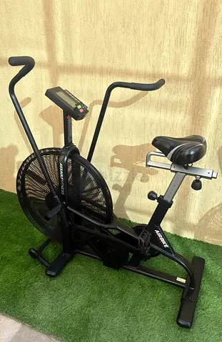 Assault Airbike