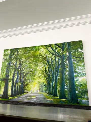 Large Framed Forest Canvas Wall Art
