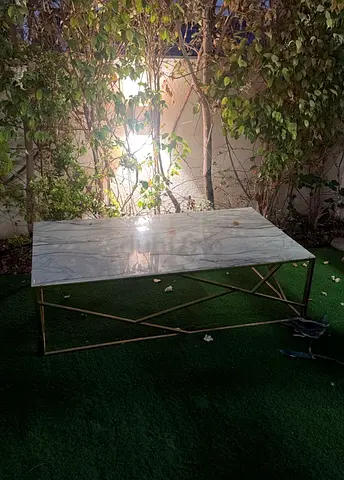 Marble-top Coffee Table with Gold Metal Frame