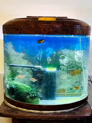 XiLONG Aquarium Starter Kit with Filter, Heater, Air Pump & Accessories