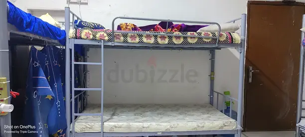 Bed Space for BACHELOR'S - Burdubai