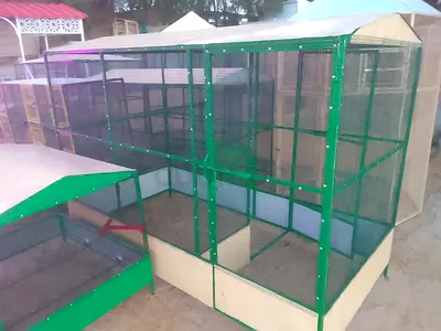 Love bird cage