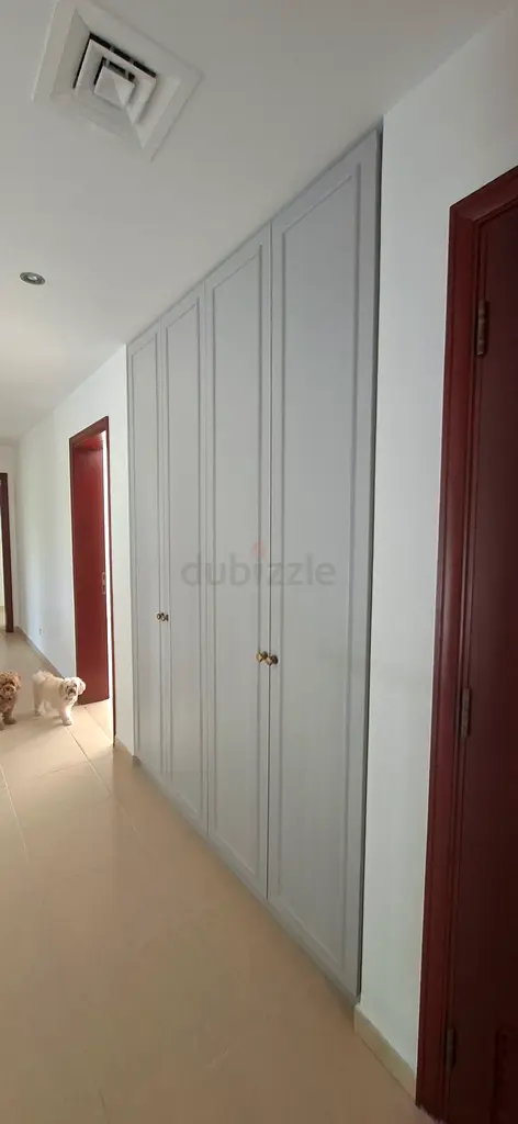DPV_View_Image_8