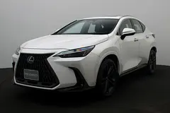 2025 Lexus NX
