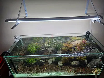 Aquarium