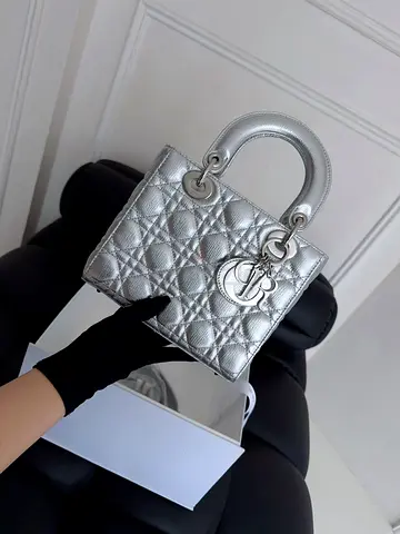Lady Dior in silver brand new authentic