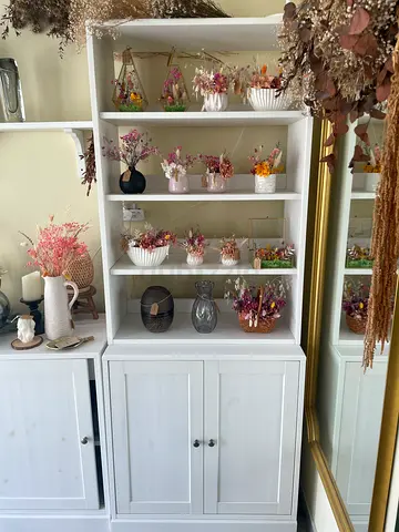 IKEA havsta storage combination