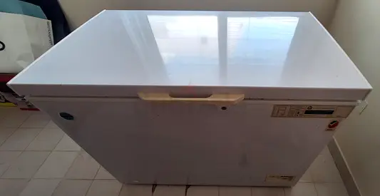 295L Chest Freezer