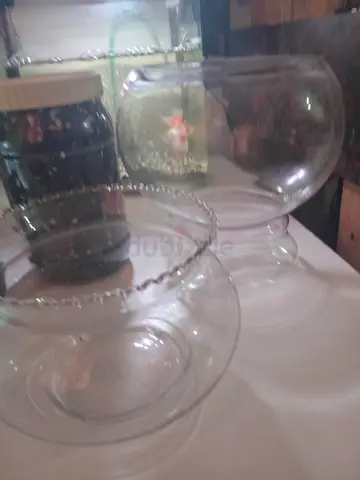 Fish bowl