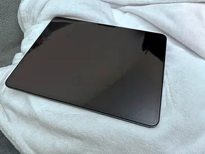 iPad Pro 13-inch 2024(Space Gray256GB) - excellent Condition with apple care++, and Screen Protector