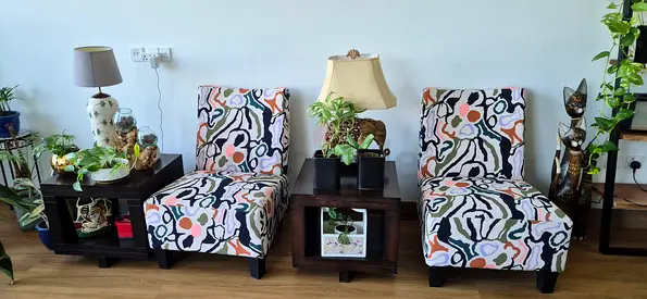 Accent lounge Chair x2