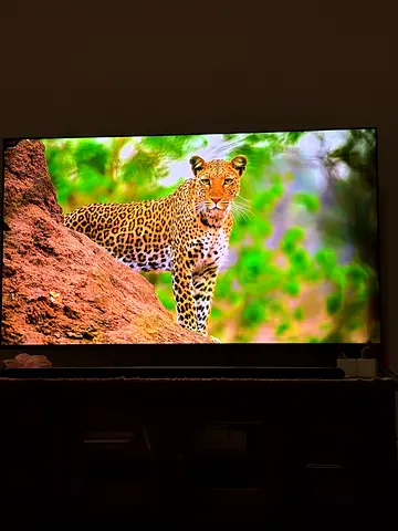 Samsung 65 inch S95B QD-OLED 4K 120Hz Smart TV