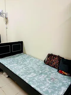 Looking a Female Roommate
