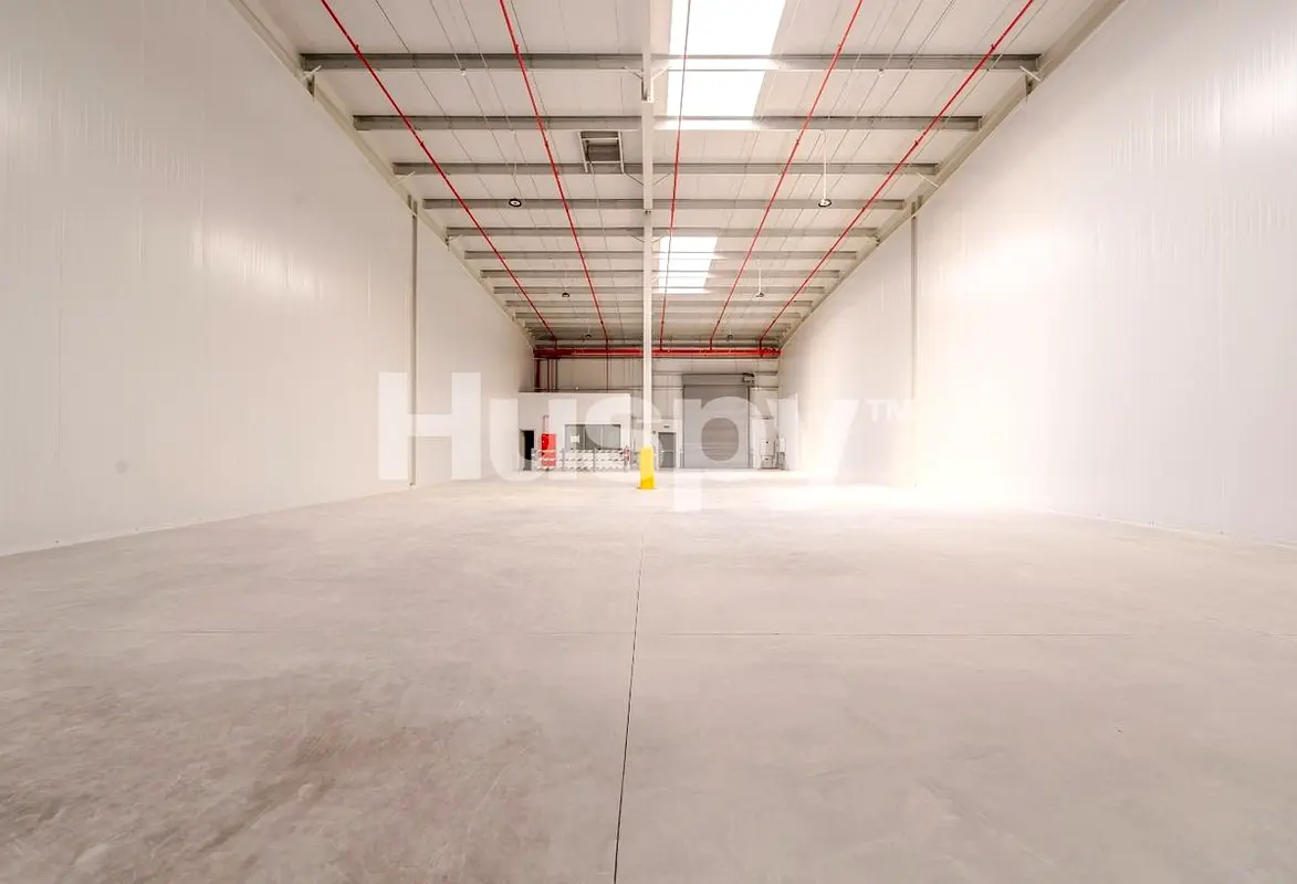 gallery-image