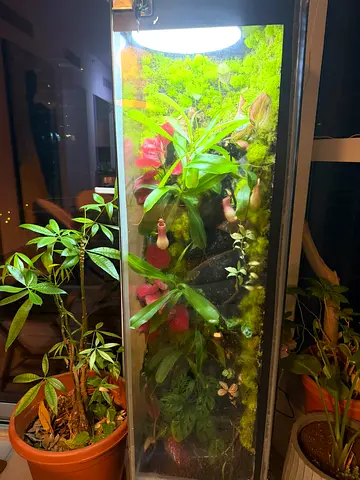 Tall Terrarium with Waterfall and Aquarium Base