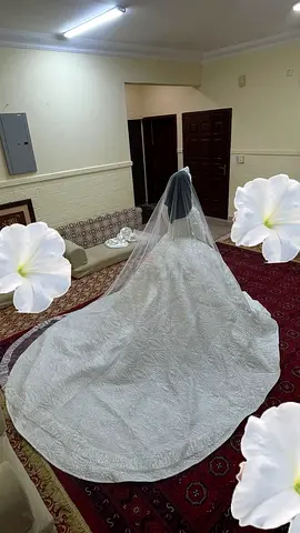 ابو ظبي - الشوامخ