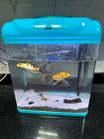Aquarium 70x40 cm