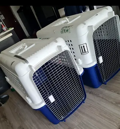 Dogs carriers for large dogs 131 Length