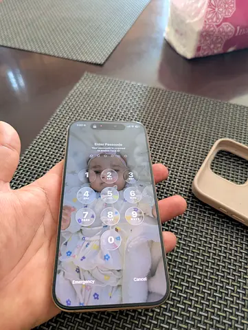 iPhone 16 Pro Max 256GB