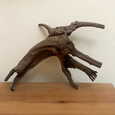 Appox 27 cm Driftwood  for sale