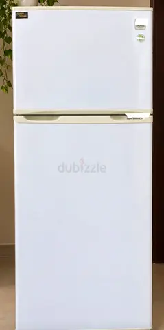 LG Brand: Compact two-door refrigerator - good condition