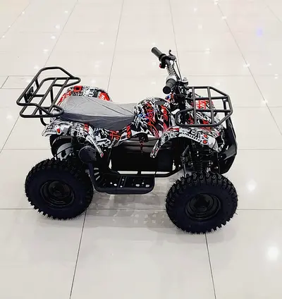 Electric 36 v quad 800 watts motor