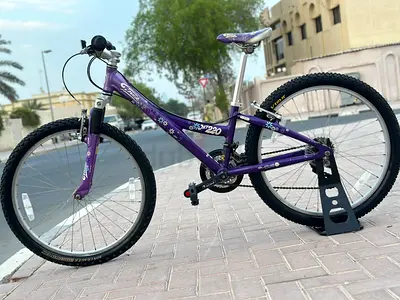 Trek mountain bike 24"