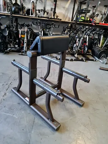 Preacher Curl Bench