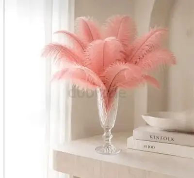 Decorative Pink Feather Arrangement in Glass Vase -brsnd new in Excellent Condition