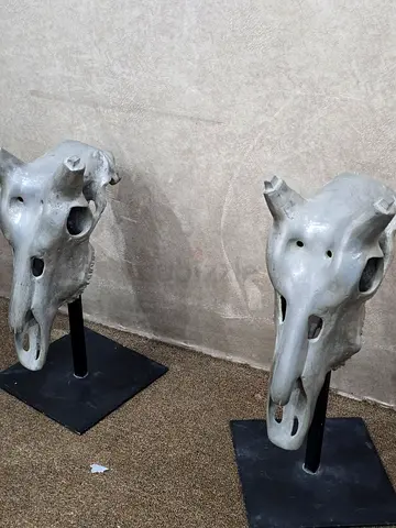 Pair of Vintage Animal Skull Sculptures on Metal Stands