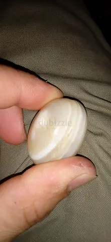 Polished cream-colored pocket stone (possibly agate/mineral) - small collectible
