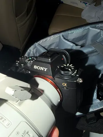 Sony a1