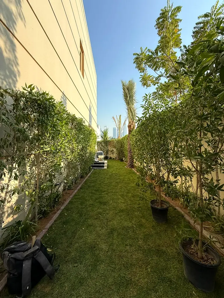DPV_View_Image_5