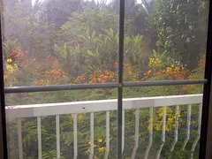 Vacant Large Studio With Balcony, Garden View