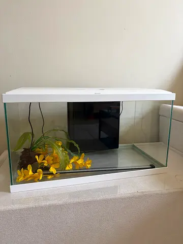 Glass Aquarium Tank