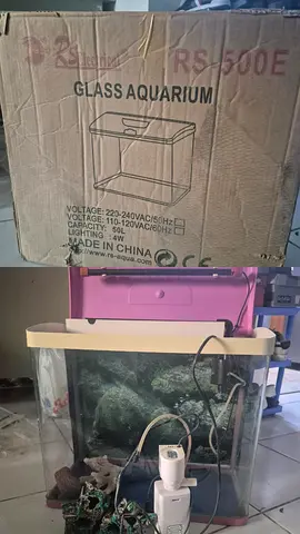 Used 50L Glass Aquarium Tank with Filter and Light - Good Condition