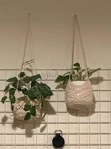 hanging planter