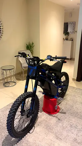 kugoo wish 2 negotiable ultra bee brakes