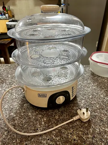 Food steamer