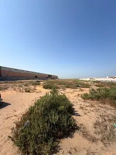 قطعة ارض للبيع مساحه 76068.65 قدم ب ام القوين منطقة ام الثع