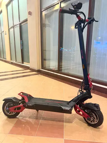 Vsett 10 plus DUAL MOTOR sport scooter RARE color