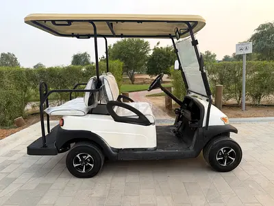 Excar golf buggy perfect condition